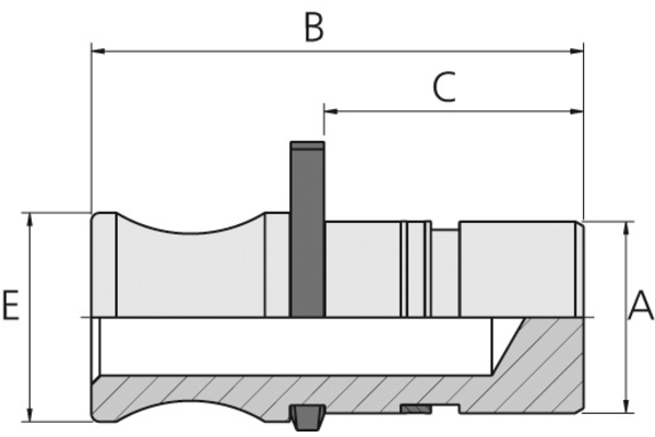 C147231200