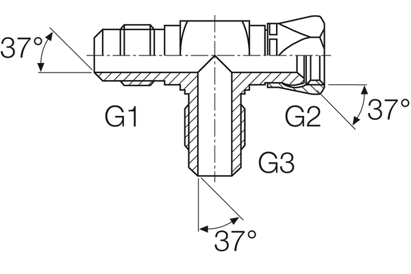 A09JM-09JF-09JM