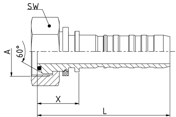 HNS24BOF24