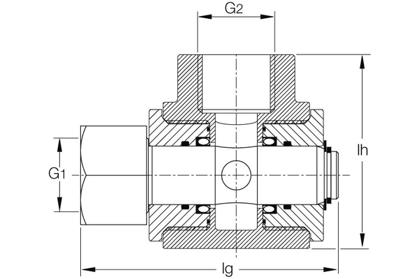 DG2NI12-W