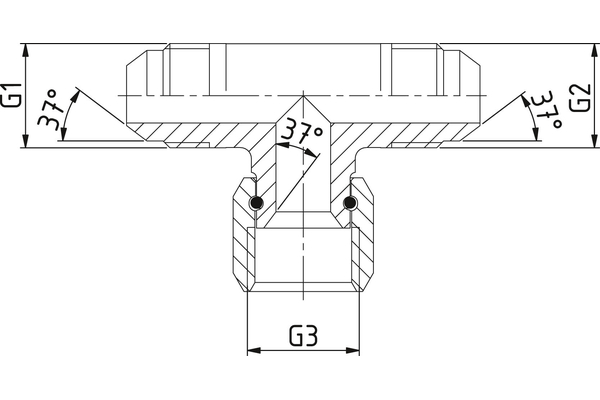 A21JM-21JM-21JF