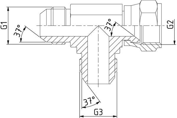 A21JM-21JF-21JM